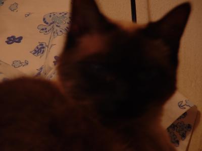 belew
