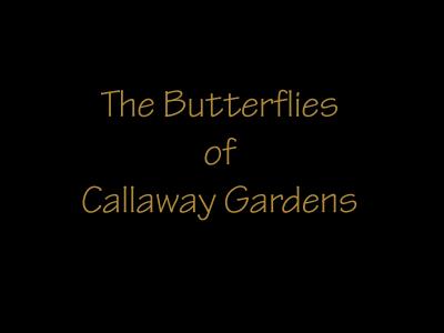 The Butterflies of Callaway Gardens
