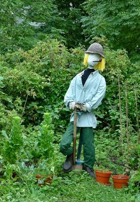 digging the allotment