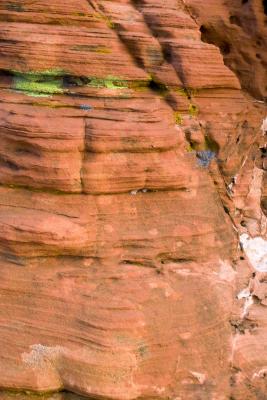 2004_valley_of_fire_gallery