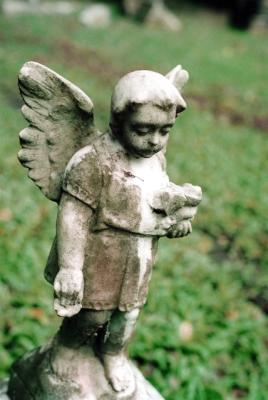 u8/sathea/medium/37495957.erF1000003.jpg