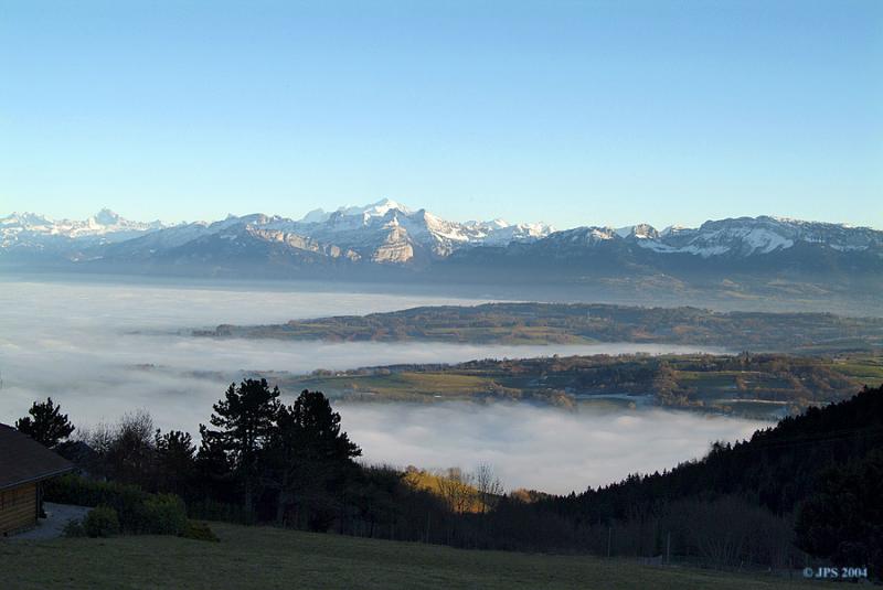 Mer de brouillard #1
