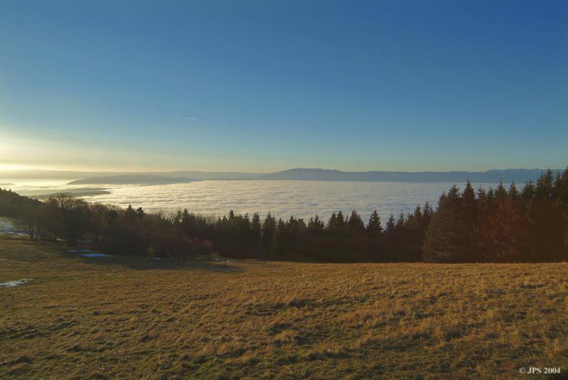 Mer de brouillard #3