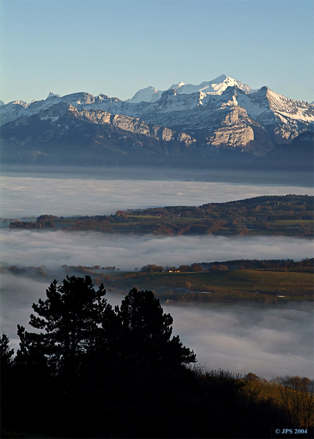 Mer de brouillard #2