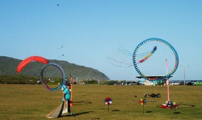 Kites on display at Sandys