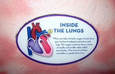 Tour of Heart