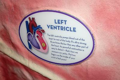 Tour of heart