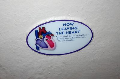 Tour of heart