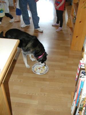 Maxthedog easter.jpg