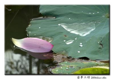 DSC_0342.jpg