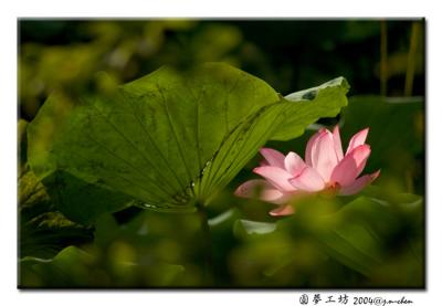 DSC_0357.jpg