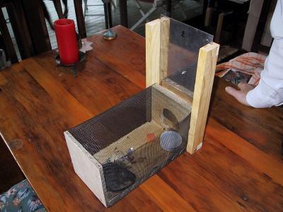 Madame Guillotine.jpg