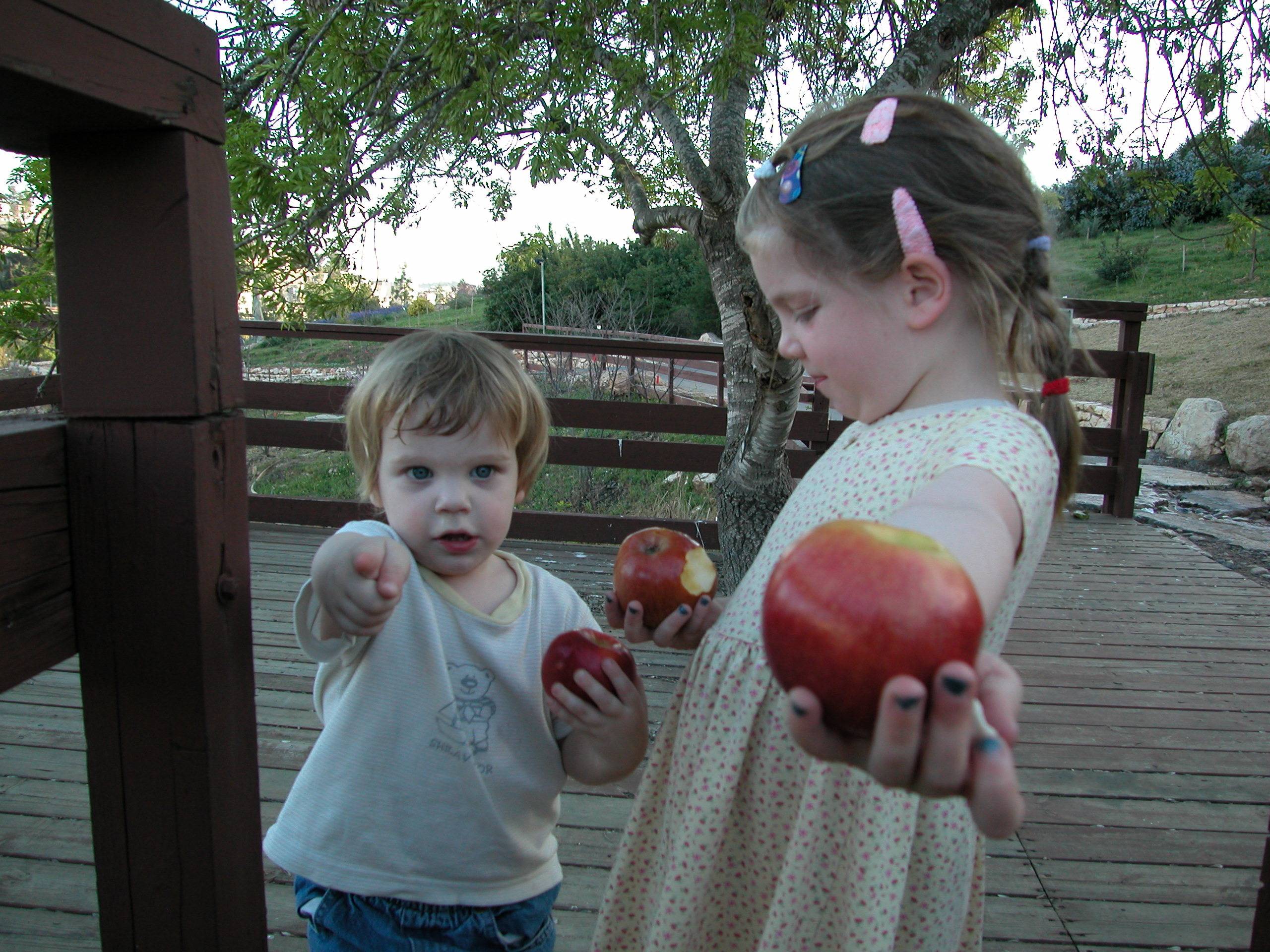 Apples DSCN0498.JPG