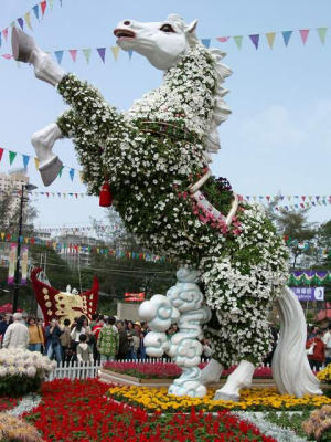 Another horse wearing white flower coat