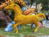 A horse wearing flower coat