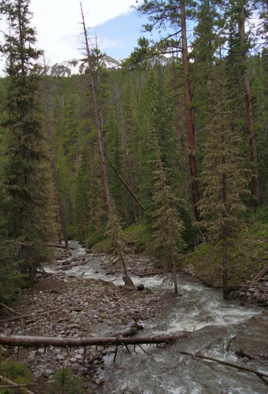 ColoradoRiverTrail