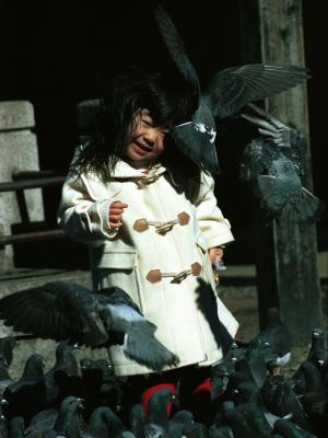 little girl playing with Rock Doves