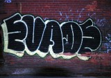 EVADE