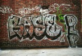 RASE DLP