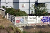 cali SKOE