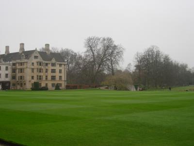 Looking towards the river Cam and the Backs from King's College.