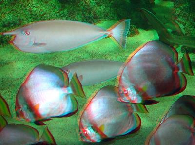 3D Sydney Aquariun 03.jpg