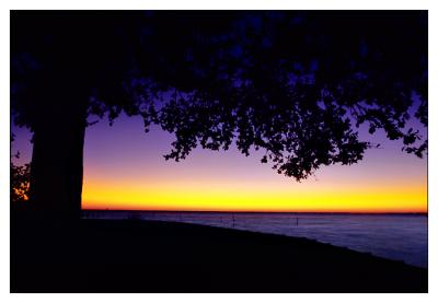 First Light