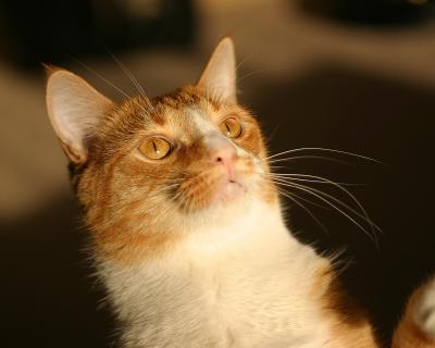 165_6541 copy.jpg