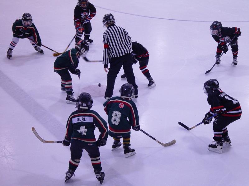 The Faceoff by Canadian Ann