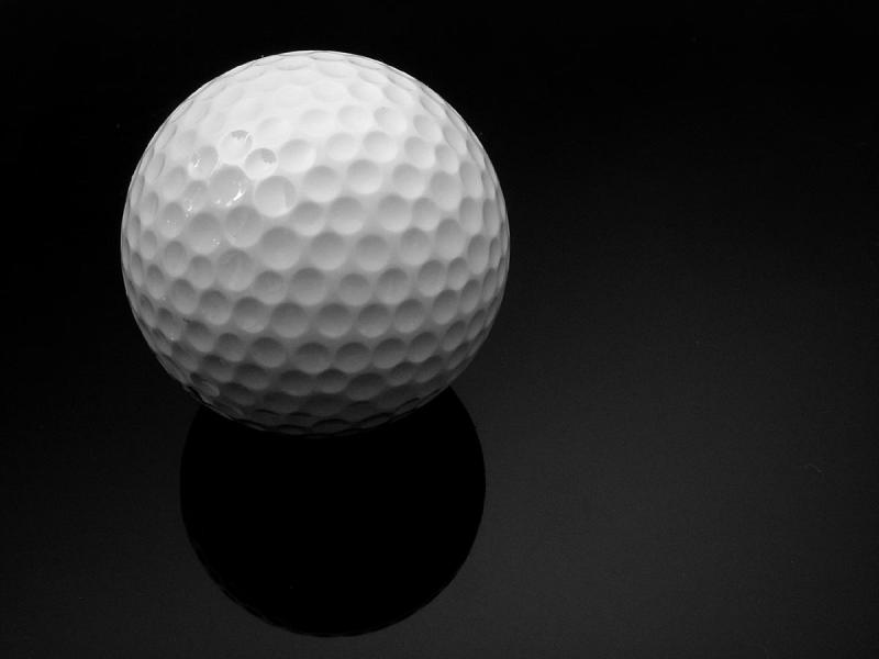 <b>10th PLACE </b>(tie)  <BR>Golf III<br>Bill R.