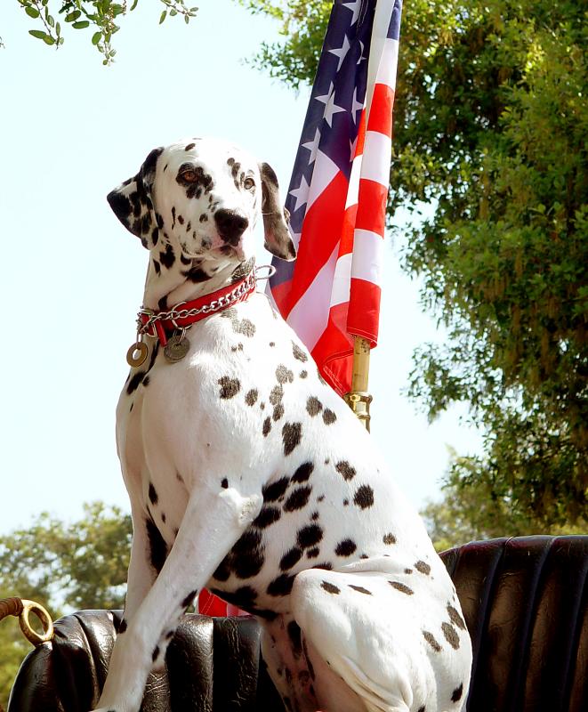 <b>Blaze, a true hero...</b><br><font size=1>