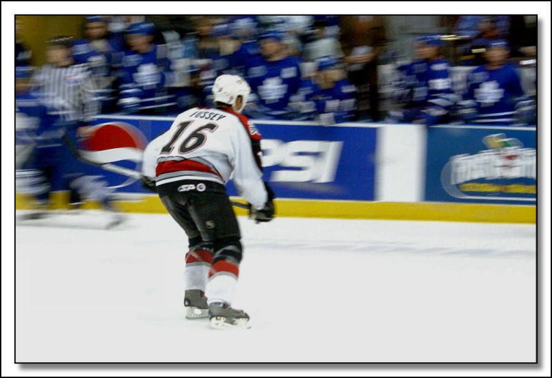 <B>Hockey Night</B>*
