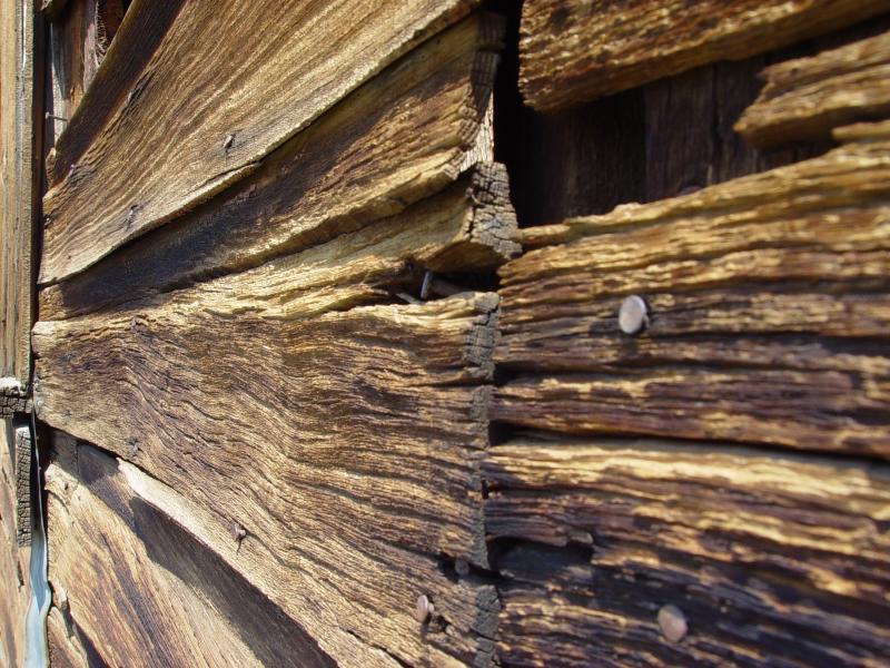 Old Wood