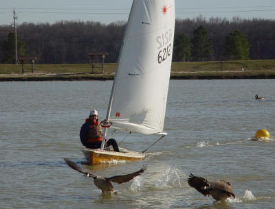 Goose Hunting?Callisto
