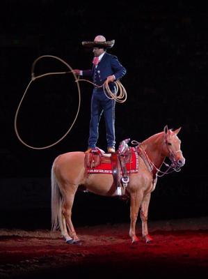 Fancy Roping by Lisa Young