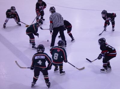 The Faceoff by Canadian Ann