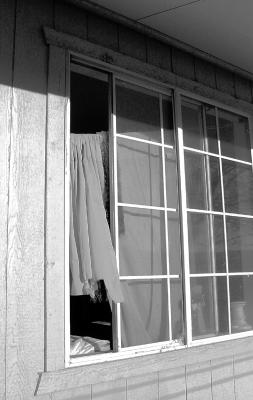 Yet another haunting image from the crime scene. The vacant feeling of the torn curtains in the open window give it an eerie feeling...