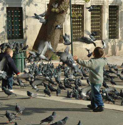 The Joy of Flight