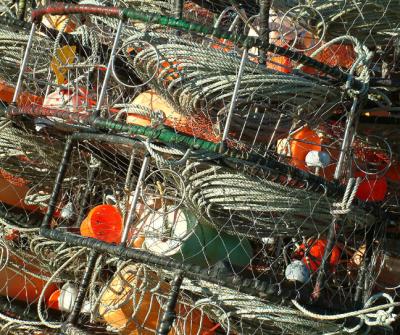 u8/stfchallenge/medium/6168363.Crabbing.jpg