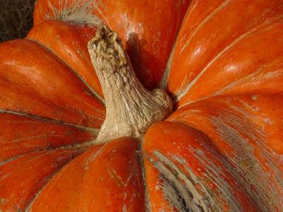 The Great Pumpkin (ala Peanuts)by Nee