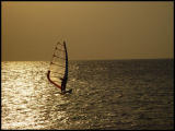 <b>9th PLACE</b><br><b>Wind Surfer at dusk</b></br>Gil Biderman