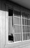 Yet another haunting image from the crime scene. The vacant feeling of the torn curtains in the open window give it an eerie feeling...