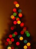 <b>9th Place</b><br>Too Much Holiday cheer<br>by Wes B.