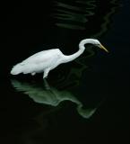 <B>First Place<br>Reflection</B><br><font size=1>by Eugeni Vaisberg<br>