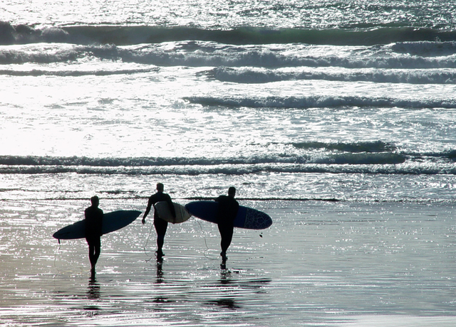 <b>8th PLACE</b><br>Endless Summer <br>by Nee