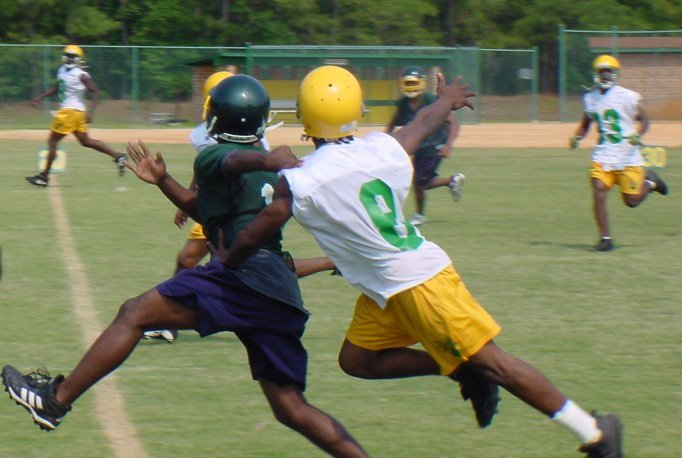 <b>4th PLACE </b><BR>Ballet or Football? <br>by Webraider