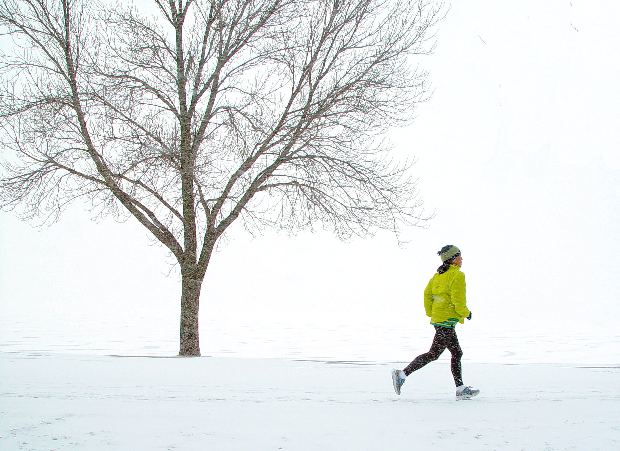 2nd PLACE</b><BR>Running Solo<br><i><font size=1> photographed by </font >Shutter</i></font>