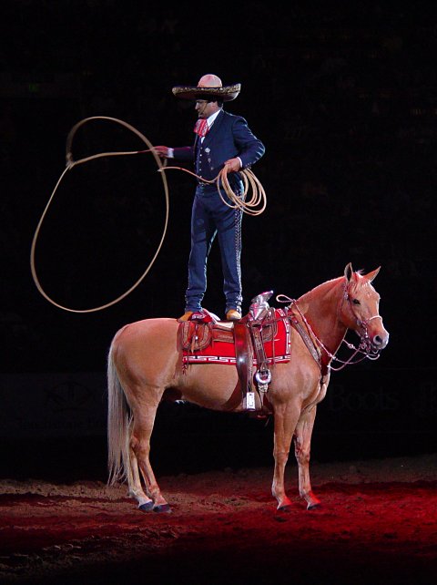 Fancy Roping by Lisa Young