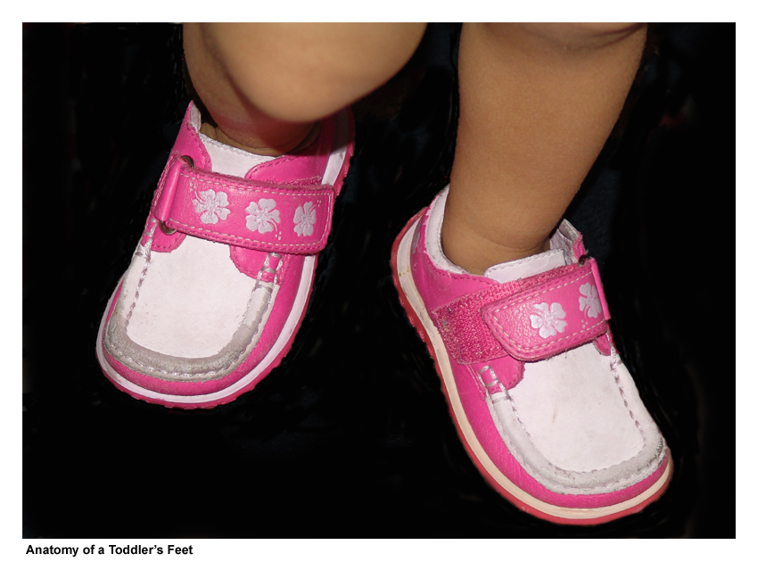 <b>Anatomy of a Toddlers Feet</b><br><font size=1>by Hassan Abba</font>