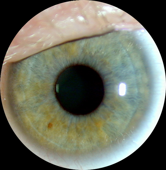Window to the soul<br>K Miller